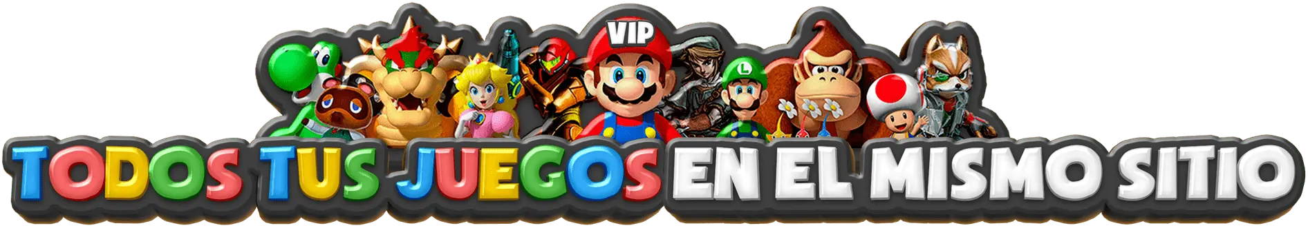 Nintendo Project Header