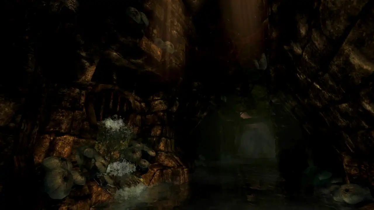 Captura 1